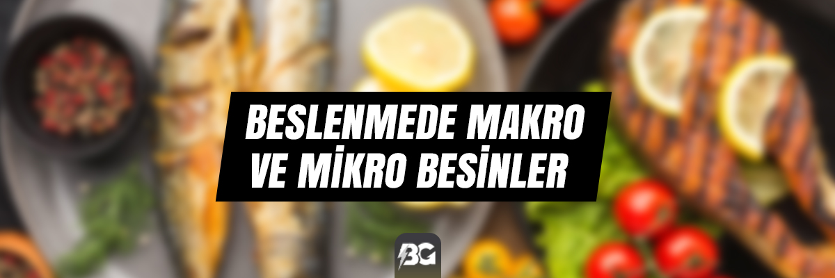 BESLENMEDE MAKRO VE MİKRO BESİNLER